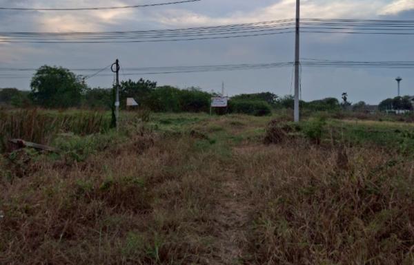 ���Թ 21 ���