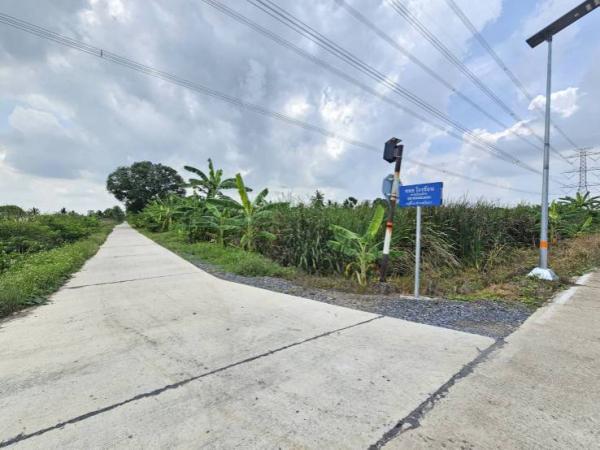 ที่ดิน ปทุมธานี ที่ดิน ปทุมธานี