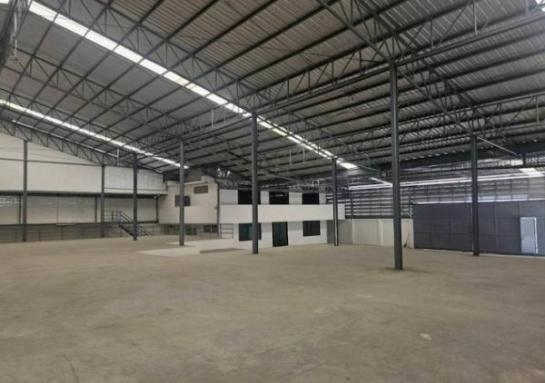 �ط����� �� Jenpong