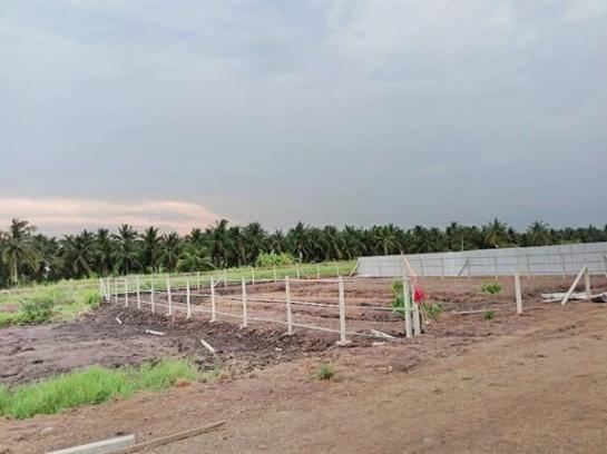 ที่ดิน ปทุมธานี ที่ดิน ปทุมธานี