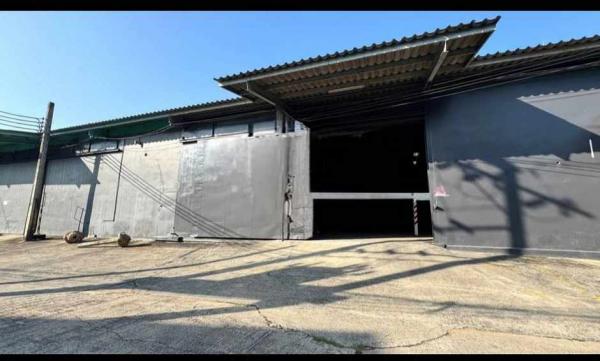 ��ا෾ �� Pattaya dot Property