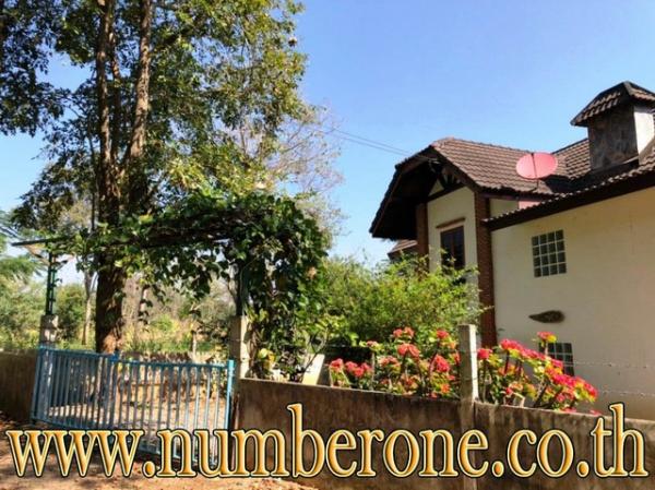 ����Ҫ���� �� numberone