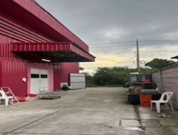 ���١�� �� �س���¤��