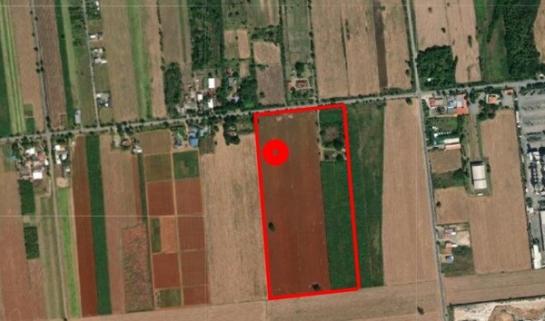 ���Թž���� �� Estate Corner