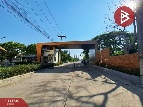  ҹ ط 79.50 ҧ
