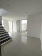 ����Ϳ��� �ѹ�����