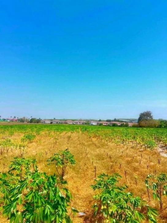 ����Ҫ� �� goodlada24