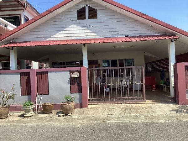 �Ң�ѭ �Ź�����