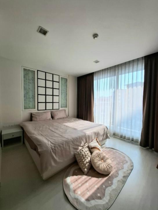 �Ң�ѭ �Ź�����