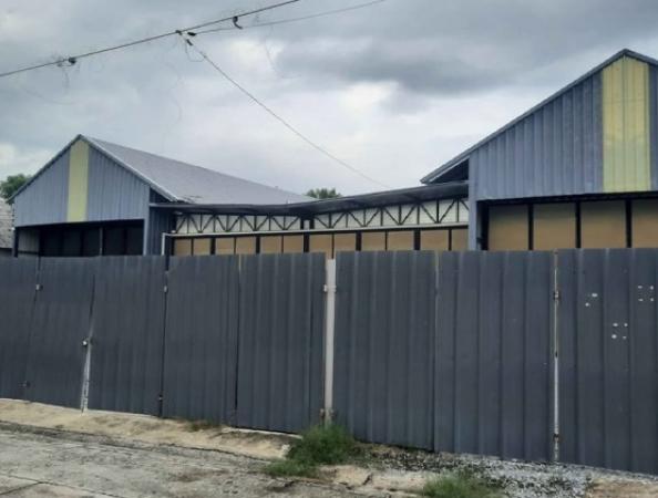 �͹���ͧ �� sumalee intavong