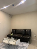 ��¤͹� �͹���ͧ