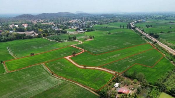 �Ҫ���� �� sopa