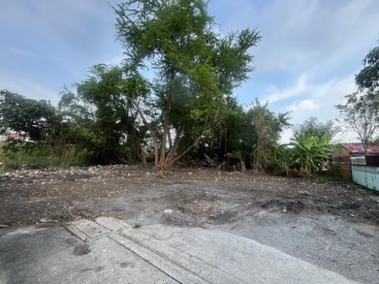 ���Թ ���: