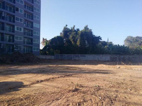 ��¡�ا෾ �� asangha PL