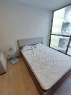 ������ �͹� �ѧ�ͧ��ҧ ��ا෾