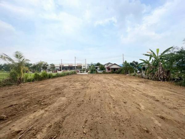 ที่ดิน บางพระ ชลบุรี