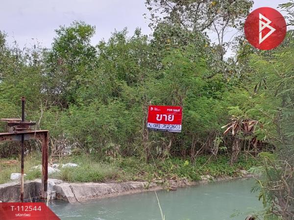 ที่ดิน 19 ไร่ ที่ดิน 19 ไร่