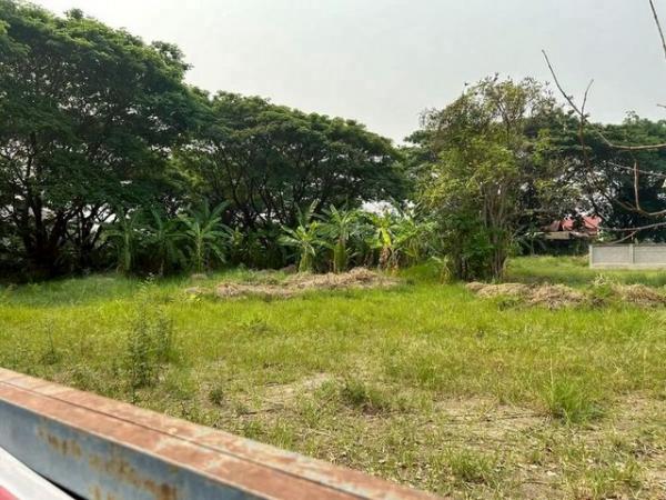 �ҧ�� �� northern1