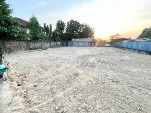 ที่ดิน บางพระ ชลบุรี
