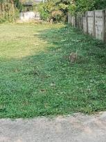 ��·��Թ ������