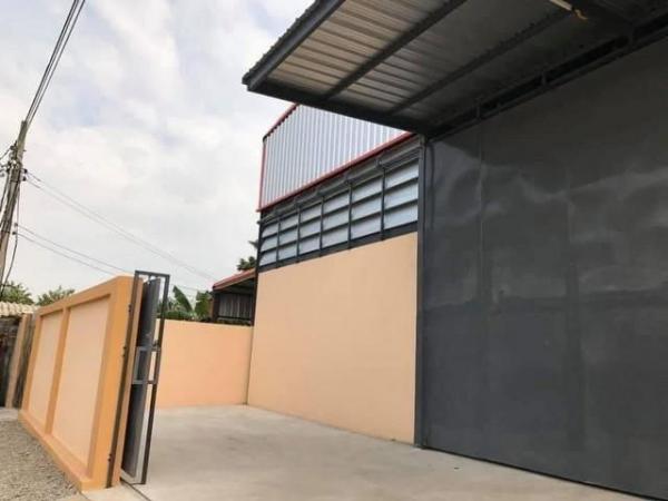 ���⡴ѧ �ҧ�͹��ا෾