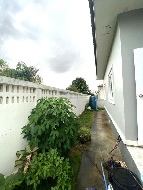  ҹ 74 ҧ