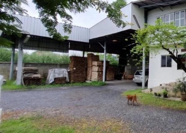 ⡴ѧ���ͧ �� coasset22