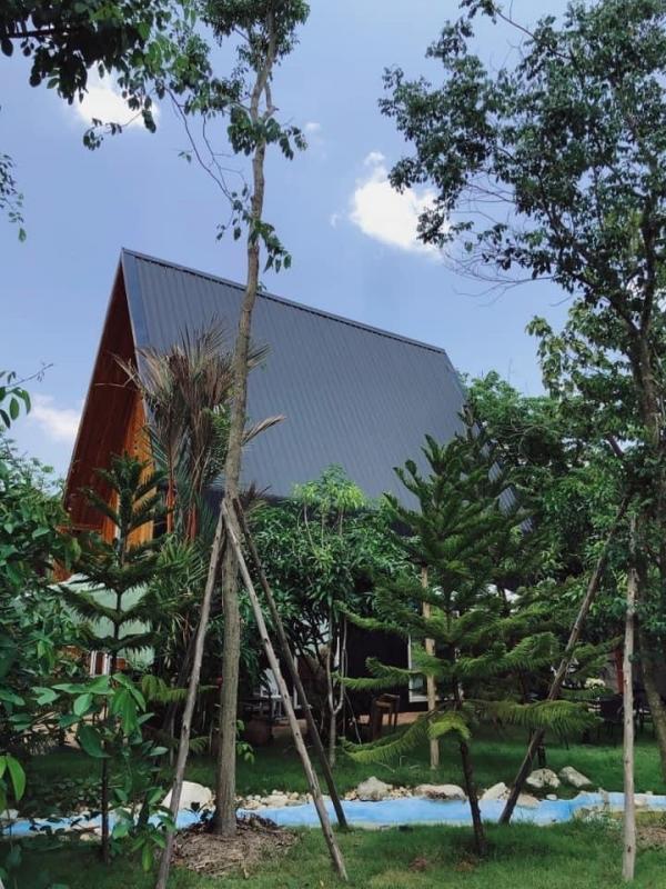 ��¸�áԨ ��ҹ�ҹ�ù�¡