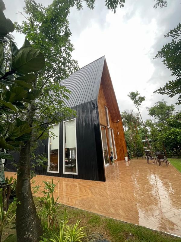 ��¸�áԨ ��ҹ�ҹ�ù�¡