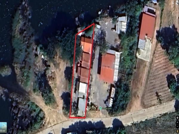 ����Ҫ� �� Nititut