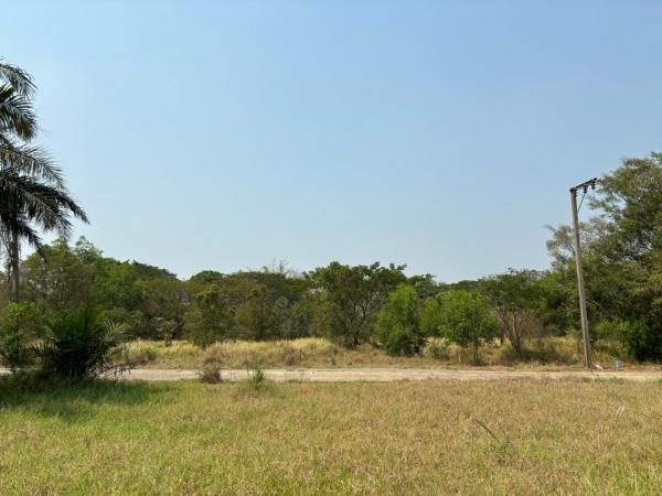 �չ���� �� ritthichai