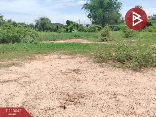 ��¾�ɳ��š �� The Best Property Agent