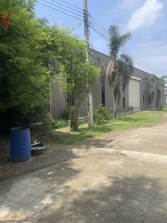 �ç�ҹ������ ˹ͧ���� �����ҹ�