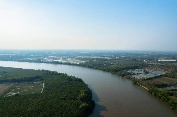 ขายที่ดิน 5,200,000 บาท ขายที่ดิน 5,200,000 บาท