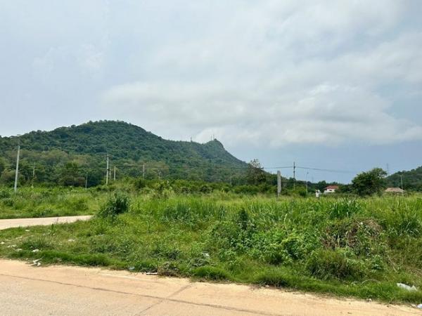 ที่ดิน บางพระ ชลบุรี
