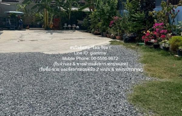 ���ͧ �� domepost66