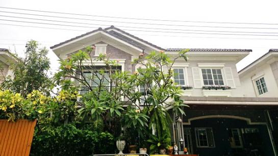 �ѭ���� �� Nuttapong