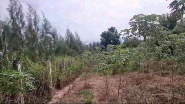 �ź��� �� ahousepost9