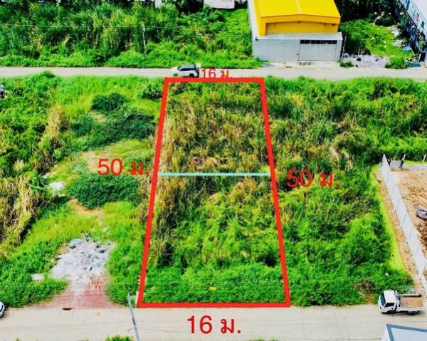 �����ҹ� �� sopa