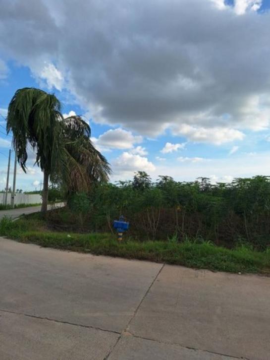 �ź��� �� ahousepost9