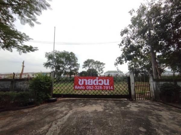 ขายที่ดินbtsขาย ขายที่ดินbtsขาย