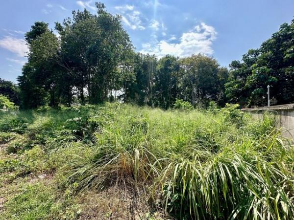 �ź��� �� ahousepost9