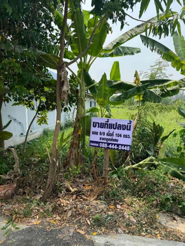 �����ҹ� �� rattana27