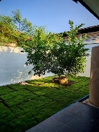 ��ҹ �ѧ�ͧ��ҧ