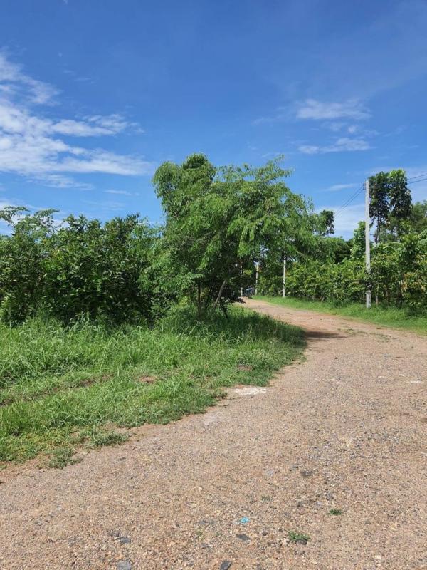 ที่ดิน ริมน้ำ สามโคก ปทุมธานี