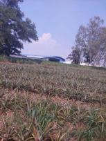 ��� ���Թ