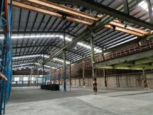 �͹���ͧ �� sumalee intavong