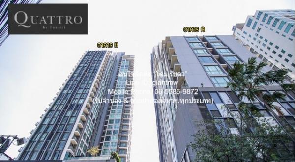 �Ѳ�� �� domepost66