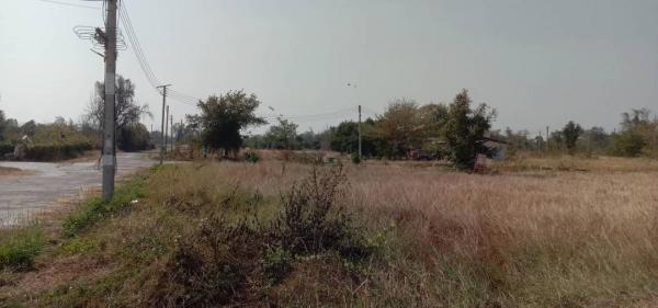 �٧�Թ �� Thanakron