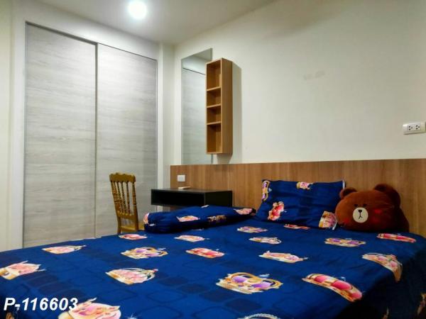 �͹�79 31 �ҧ�л�